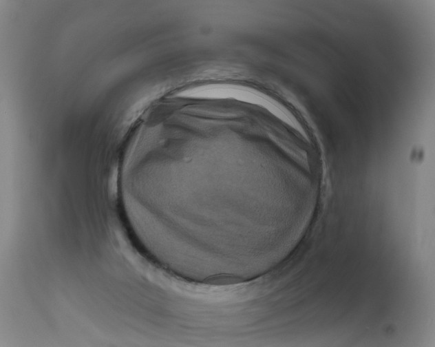 X0000111790019200908131423