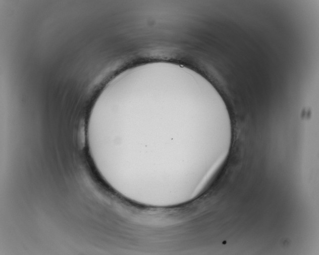 X0000111790020200908131423