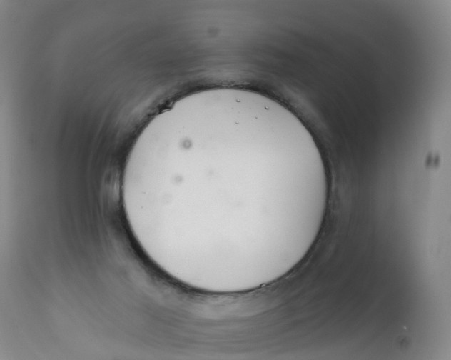 X0000111790021200908131423