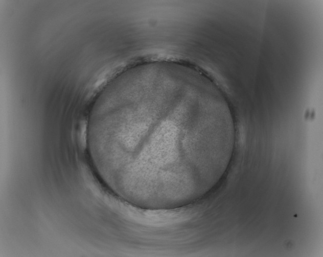 X0000111790022200908131423