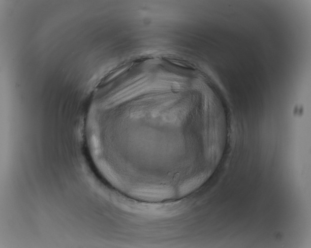 X0000111790023200908131423