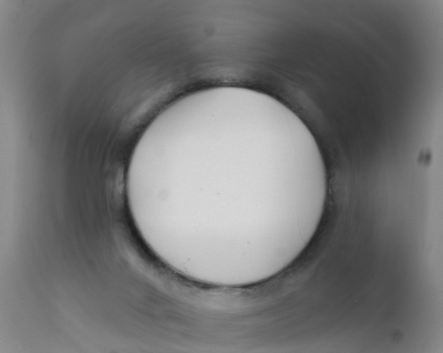 X0000111790024200908131423