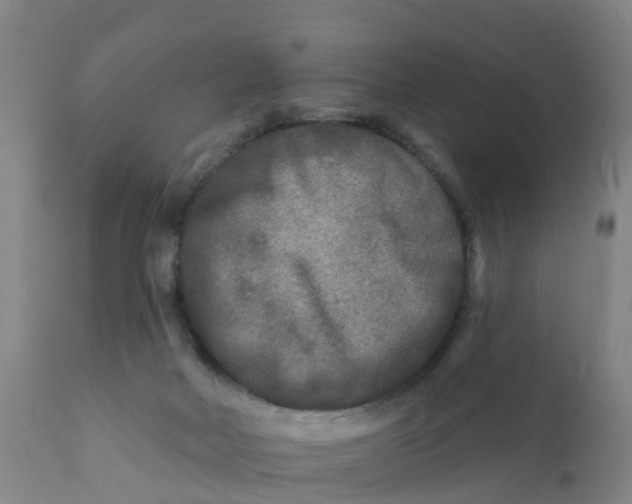 X0000111790026200908131423