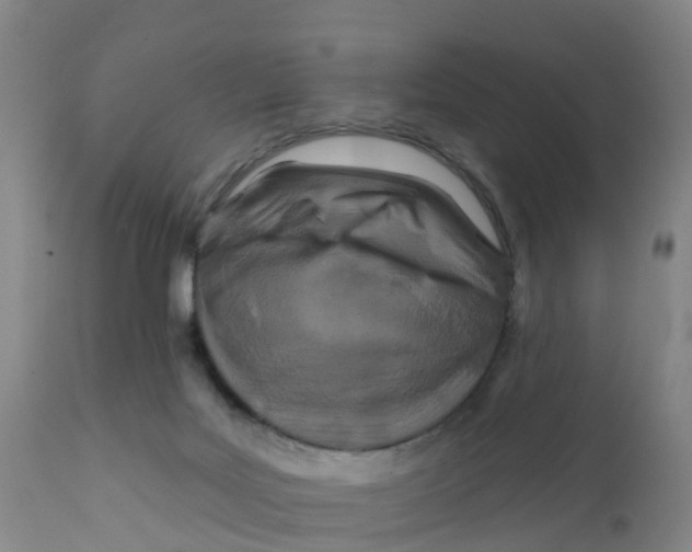 X0000111790027200908131423