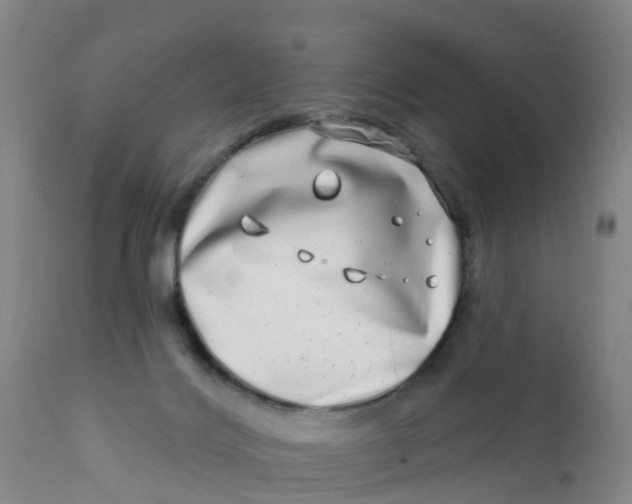 X0000111790028200908131423