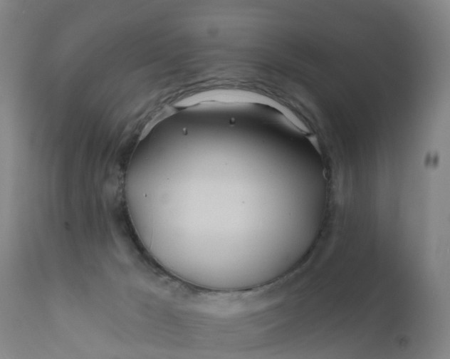 X0000111790029200908131423