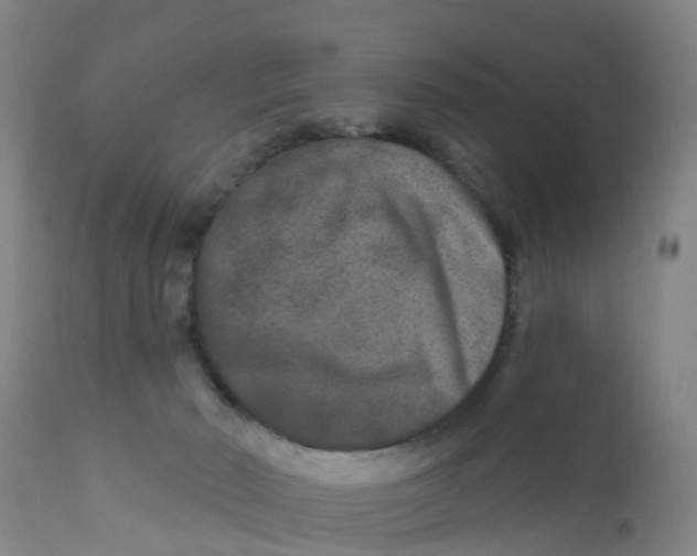 X0000111790030200908131423