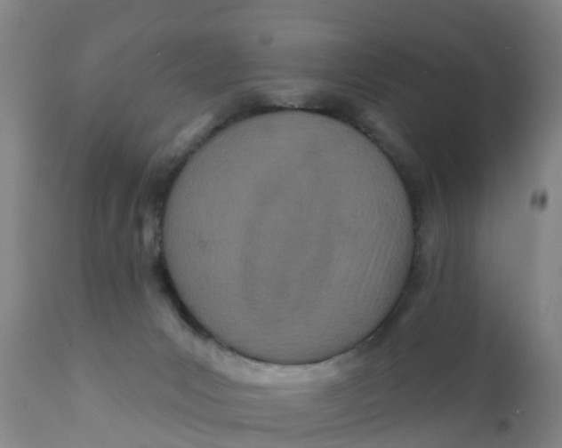 X0000111790031200908131423