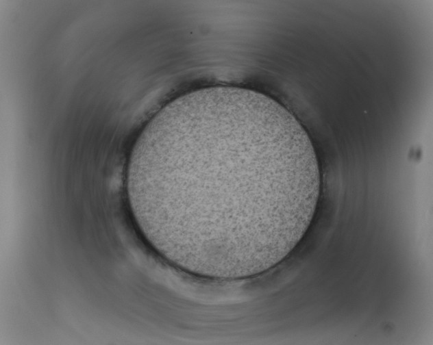 X0000111790032200908131423