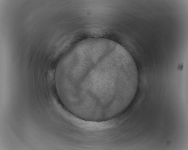 X0000111790034200908131423