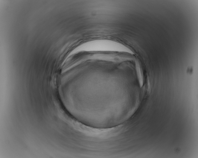 X0000111790035200908131423