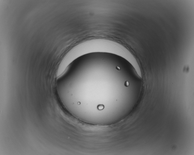 X0000111790036200908131423