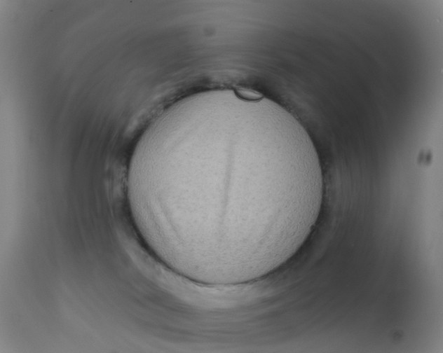 X0000111790038200908131423