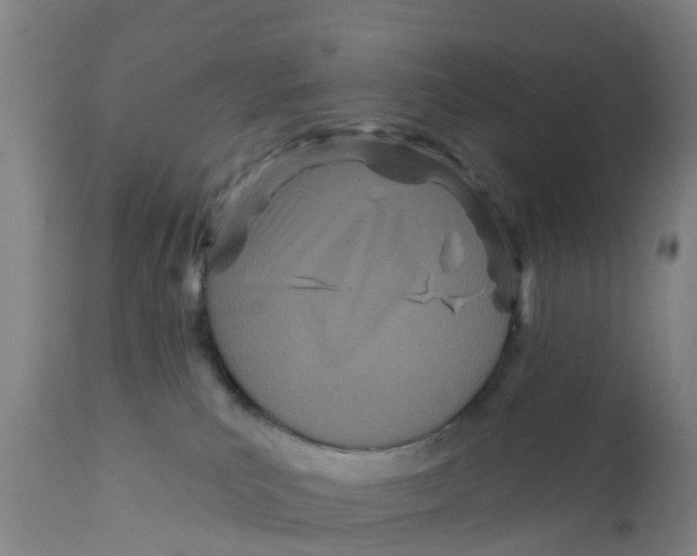 X0000111790039200908131423