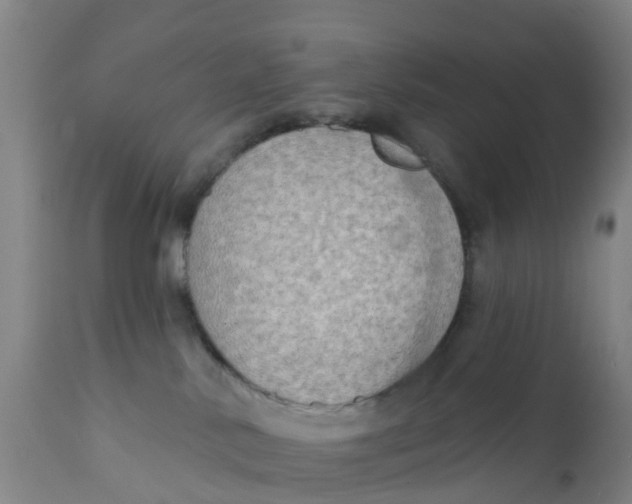 X0000111790042200908131423