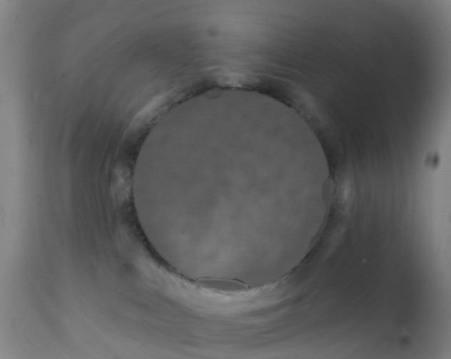 X0000111790043200908131423