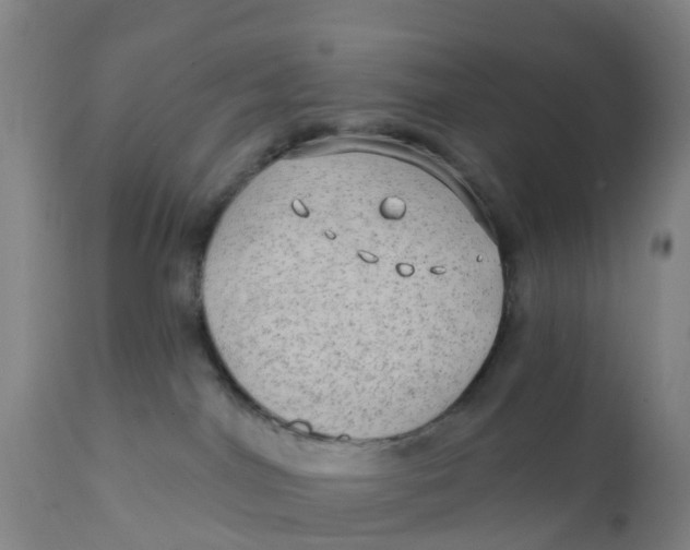 X0000111790044200908131423