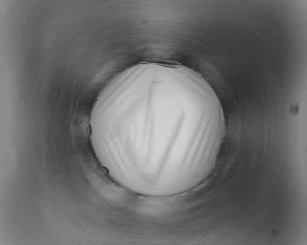 X0000111790045200908131423