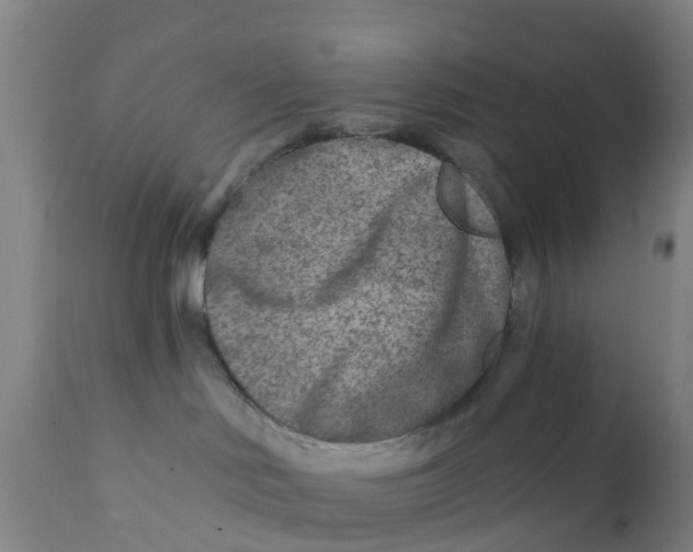 X0000111790046200908131423