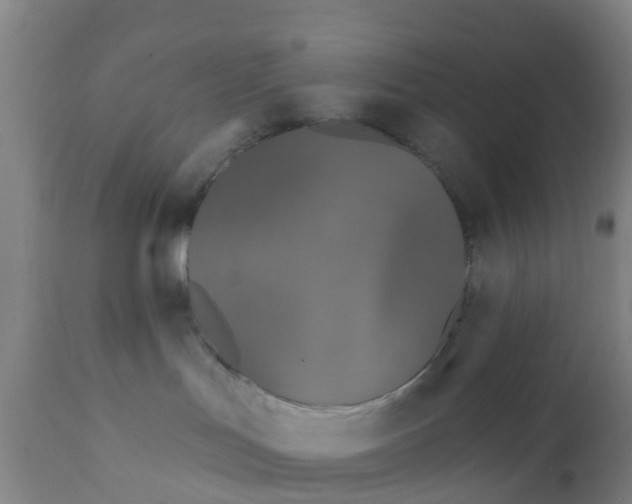 X0000111790047200908131423