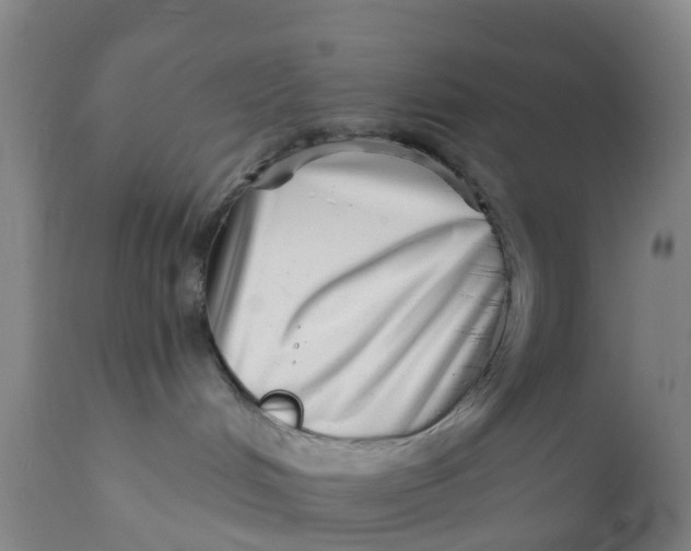 X0000111790048200908131423