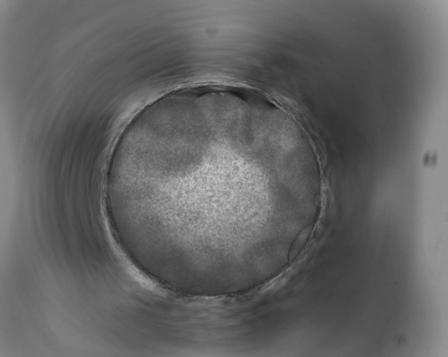 X0000111790049200908131422