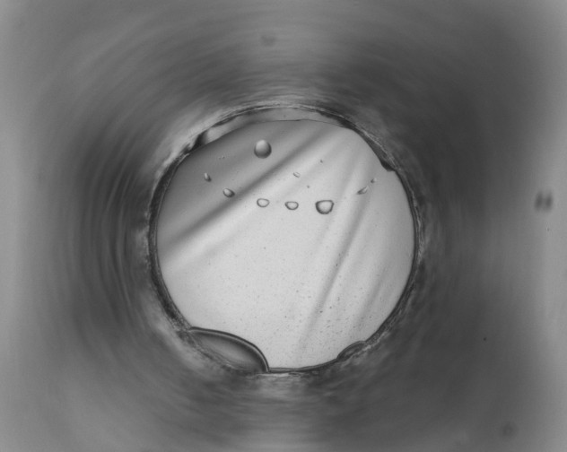 X0000111790050200908131422