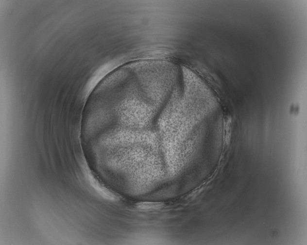 X0000111790051200908131422