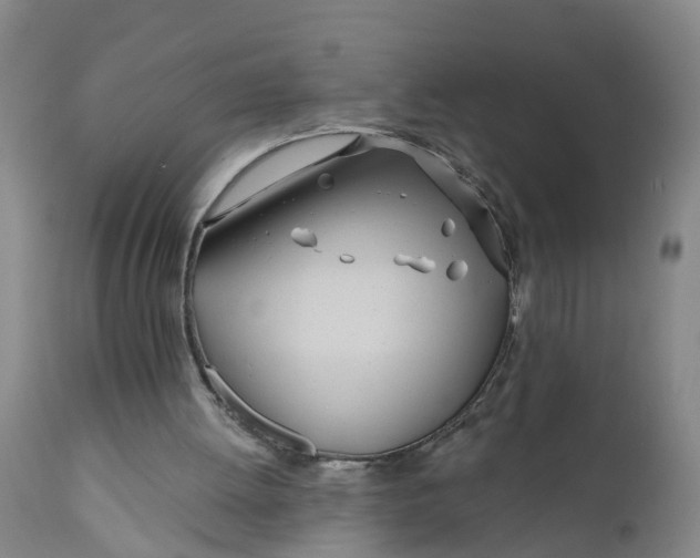 X0000111790052200908131422