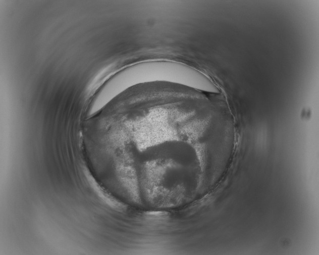 X0000111790053200908131422