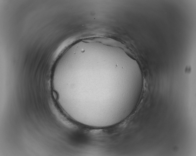 X0000111790054200908131422