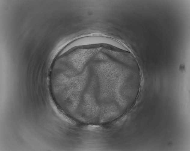 X0000111790055200908131422