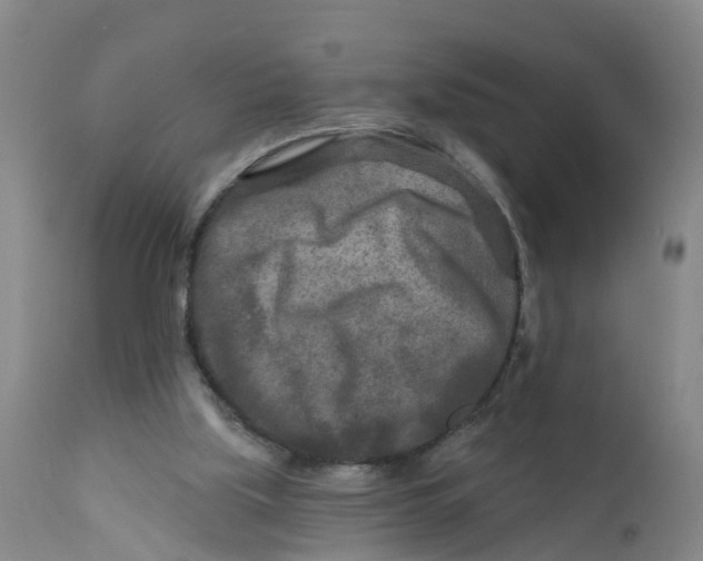 X0000111790059200908131422