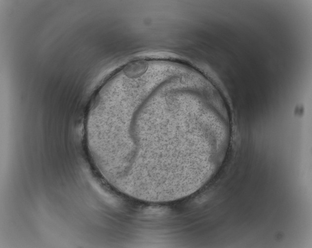 X0000111790063200908131422