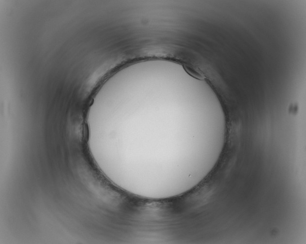 X0000111790064200908131422