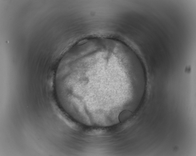 X0000111790065200908131422