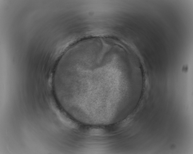 X0000111790066200908131422