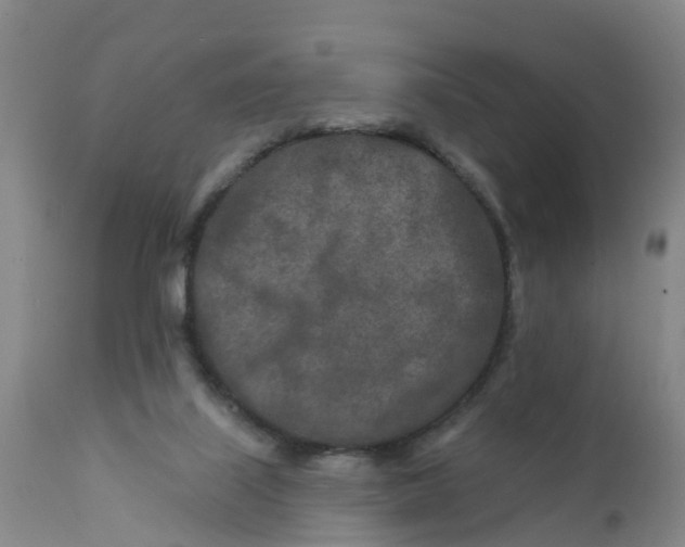 X0000111790067200908131422