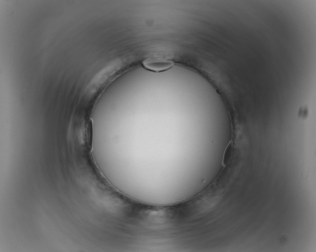 X0000111790068200908131422