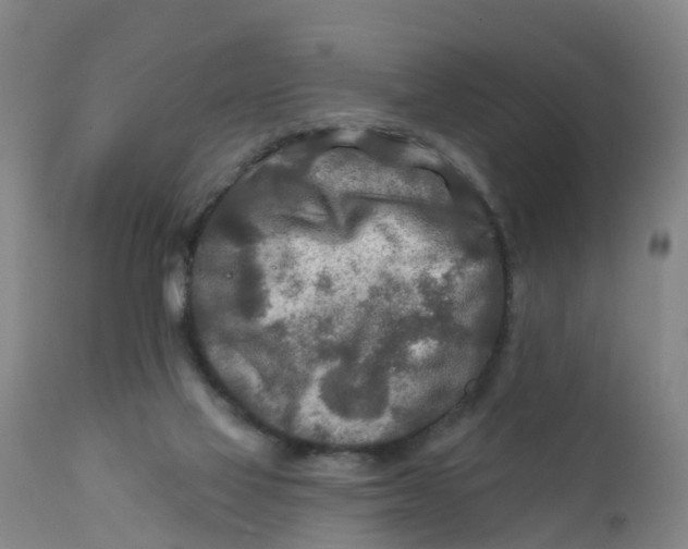 X0000111790069200908131422