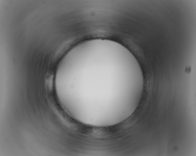 X0000111790070200908131422