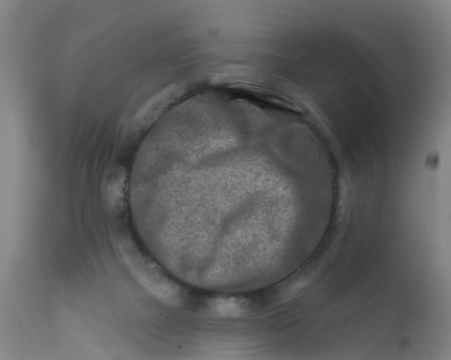 X0000111790073200908131422