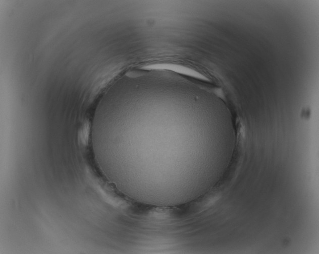 X0000111790076200908131422