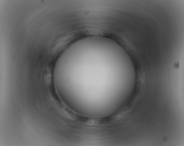 X0000111790080200908131422