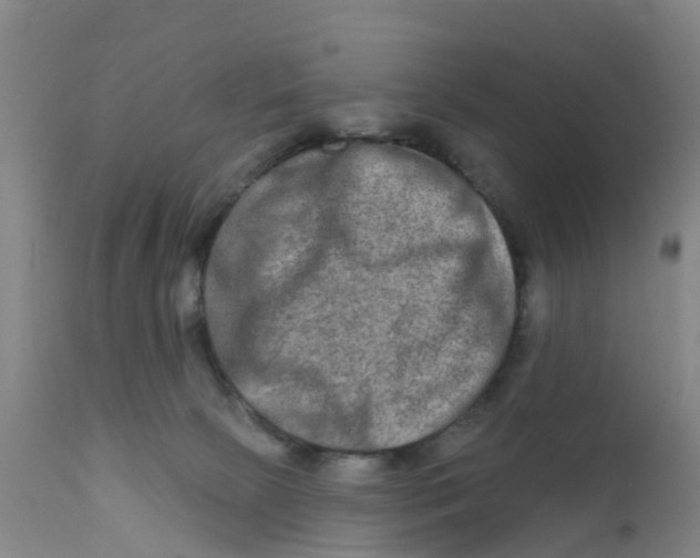 X0000111790081200908131422