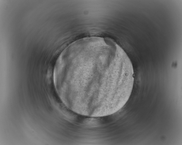 X0000111790082200908131422