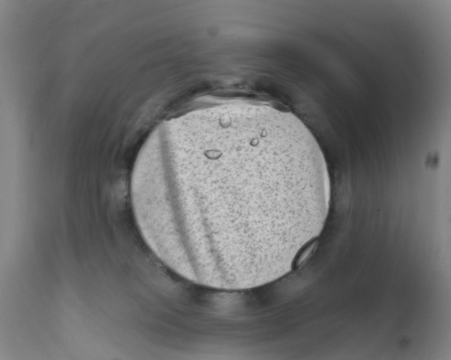 X0000111790085200908131422