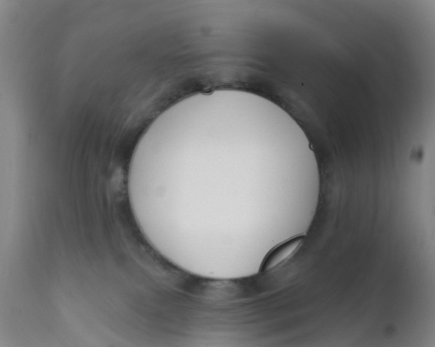 X0000111790087200908131422