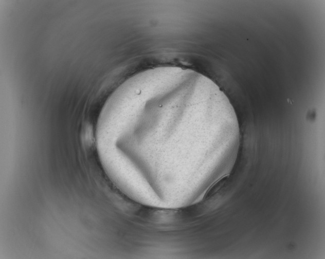 X0000111790089200908131423