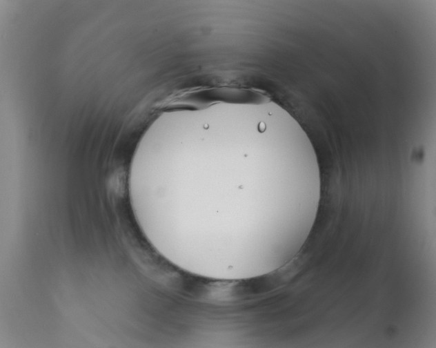 X0000111790090200908131423